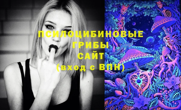 2c-b Балахна